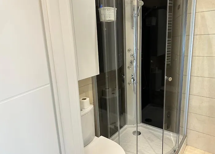 Апартаменты Fabulous Penthouse Lakeview W20 Бухарест