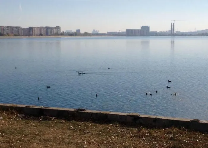 Fabulous Penthouse Lakeview W20