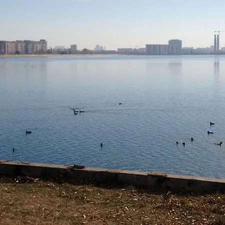 Fabulous Penthouse Lakeview W20